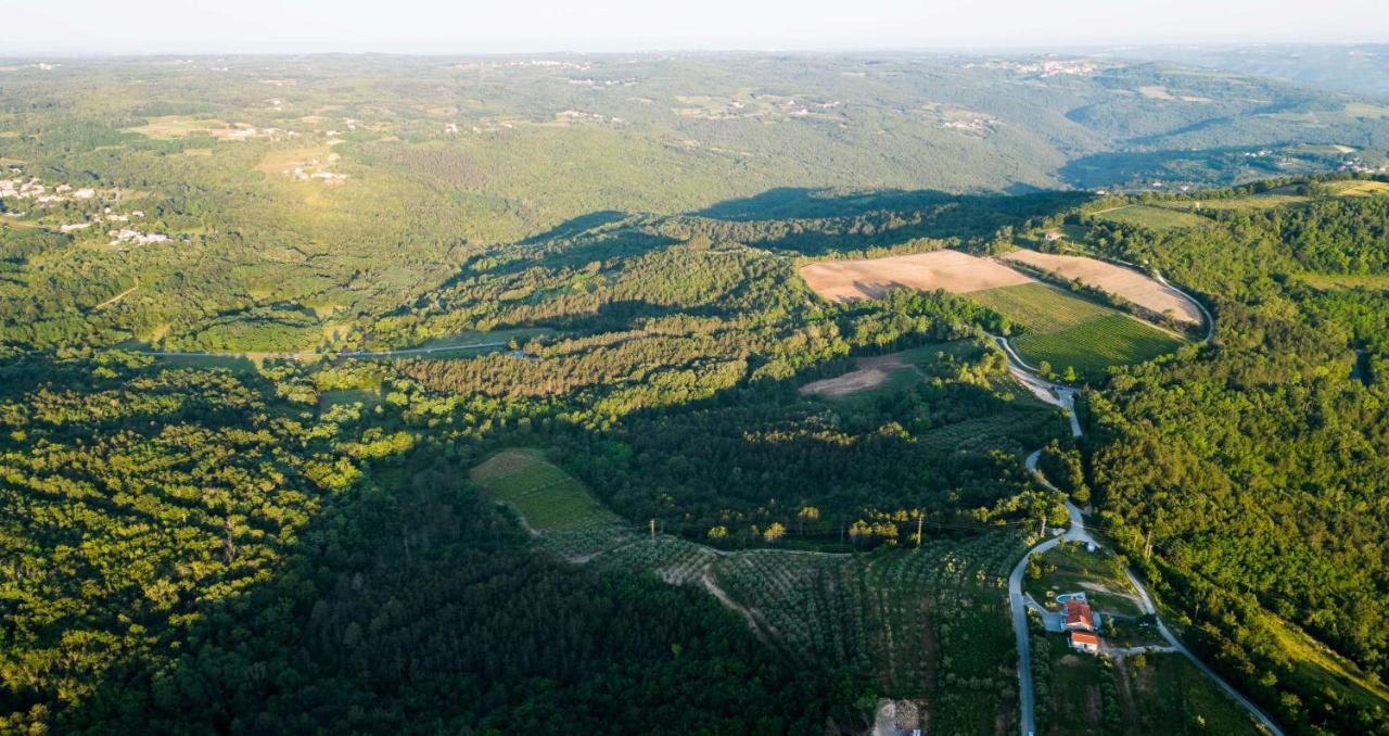 Villa Meloni Motovun Exteriör bild